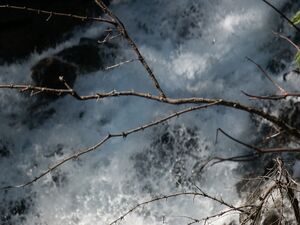 Obertalbach 0100 2005-05-30.jpg