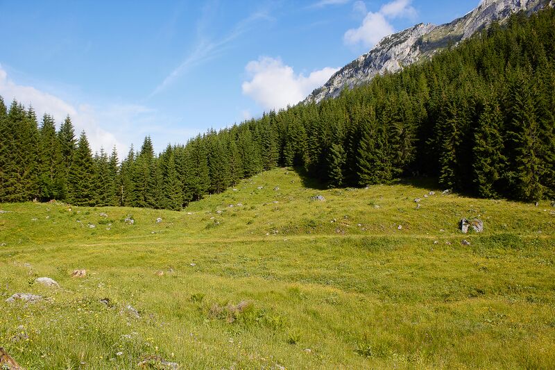 Datei:Pfarralm Johnsbach-2000-2021-07-03-3.jpg