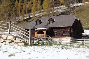 Rahmkübellehen hormann 63276 2017-10-31.jpg