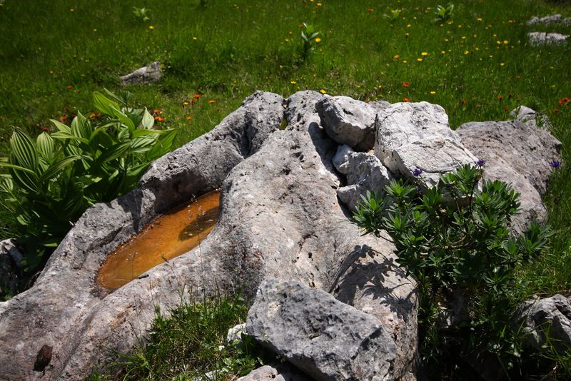 Datei:Rotböden-kemetgebirge 97190 2015-07-16.jpg