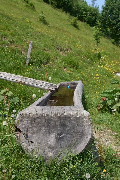 Datei:Sternenplatz ramsau-0038-2025-06-09.jpg