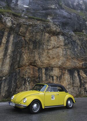 Stoderzinken Bergpruefung 2012 18.jpg