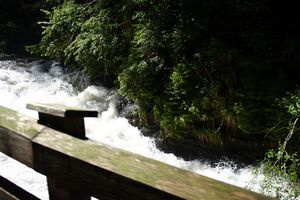 Talbach 13952 2012-07-15.jpg