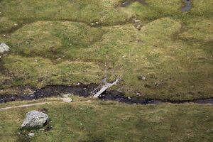 Zinkboden 55988 2017-08-22.jpg