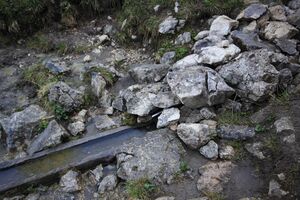 Ailbl 77506 2018-06-04.jpg