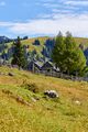 Bärenfeichtenalm-3144-2021-08-03.jpg