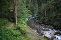 Donnersbachklamm 72839 2014-06-18.jpg