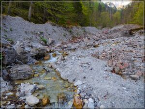 Gofergrabenbach ( 13.04.24 ) 007.jpg