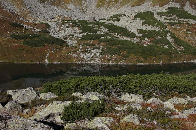 Datei:Grünsee-großsölk 1170 2013-09-25.jpg