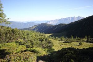 Gumpenkar 53219 2017-07-05.jpg