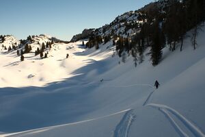 Hüttfeld grafenbergalm 83144 2015-02-12.jpg