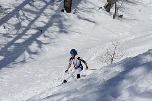 Hubsi-Lauf 2015-1067 n.jpg