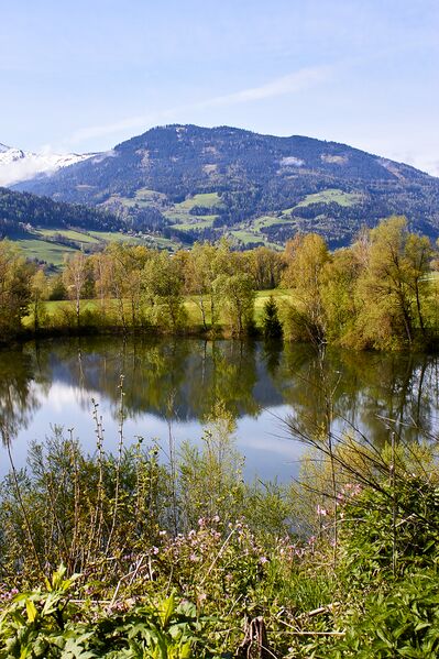 Datei:Ofenlegerteich-300011-2023-05-07.jpg