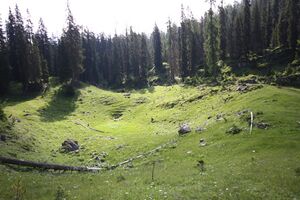 Prechtelsboden- kemetgebirge 96969 2015-07-16.jpg