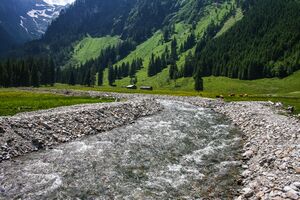 Putzentalbach kleinsölk 4986 13-06-20.jpg