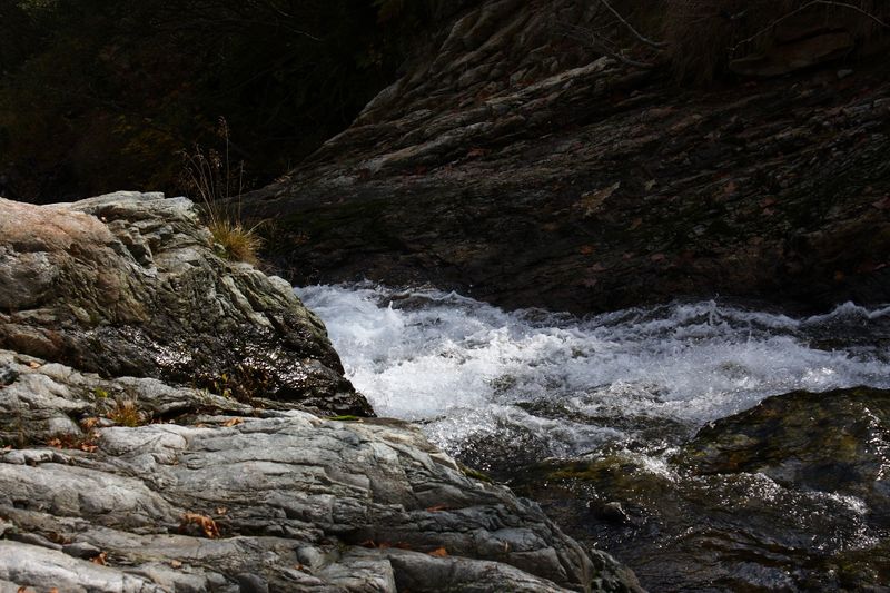 Datei:Säusenbach kleinsölk 73618 2014-10-03.jpg