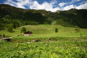 Silbersteinalm obertal 24983 2016-06-15.jpg