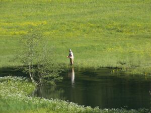 Tettermoor 12616 2006-06-18.jpg