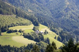 Vlg asinger sonnberg-0217-2023-08-11.jpg