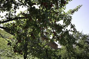 Vlg untereinöder bleiberg-11-2012-09-21.jpg