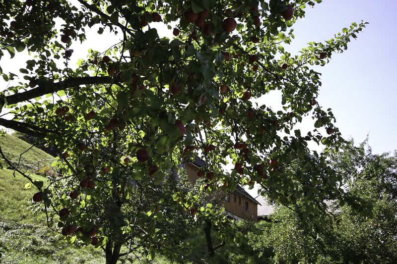 Datei:Vlg untereinöder bleiberg-11-2012-09-21.jpg