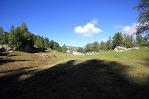 Ailbl 77504 2018-06-04.jpg