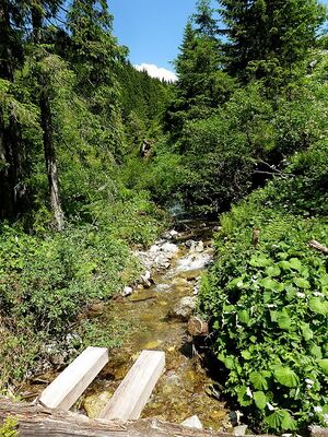 Ardningbach130682.JPG