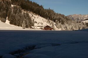 Bodensee 26515 2014-01-01.jpg