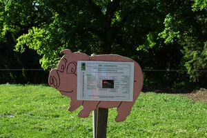 Grimmingsau moarhof 58217 2014-05-21.jpg