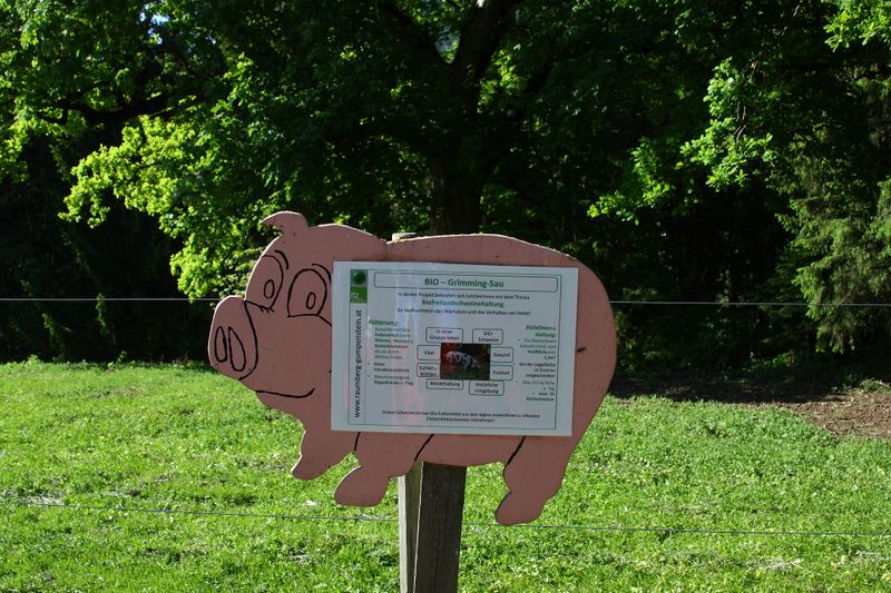 Datei:Grimmingsau moarhof 58217 2014-05-21.jpg