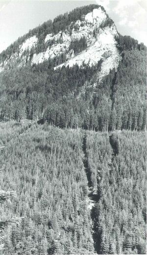 Gstatterstein Bildvergleich 2.jpg