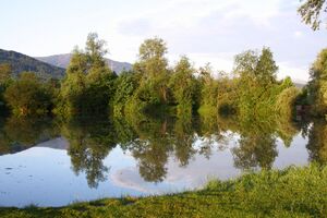 Huberteich 58699 2014-05-26.jpg