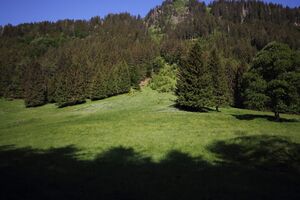 In der strechen 75929 2018-05-28.jpg