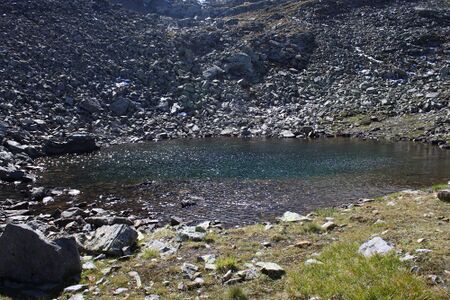 Nördliche krukecklacke 01699 2015-09-13.jpg