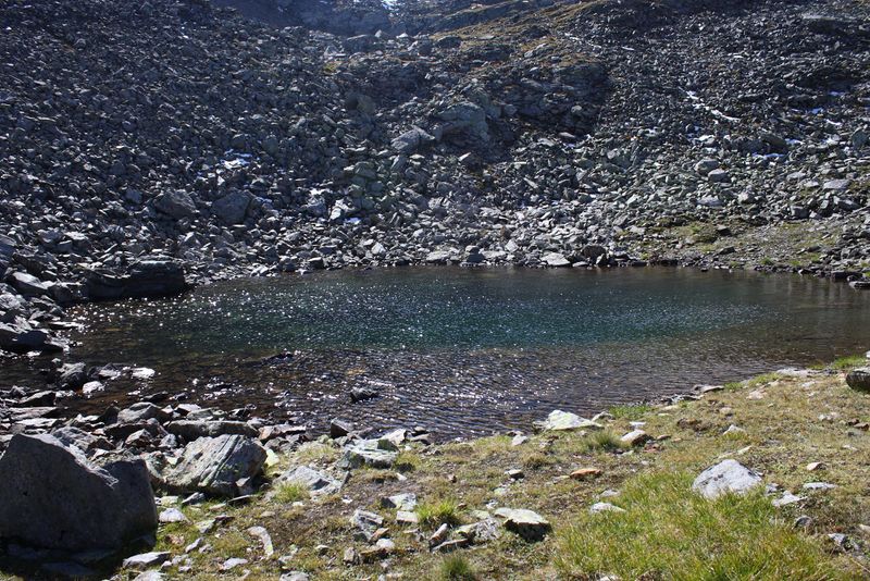 Datei:Nördliche krukecklacke 01699 2015-09-13.jpg