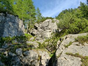 Obere Koderalm jägersteig.JPG