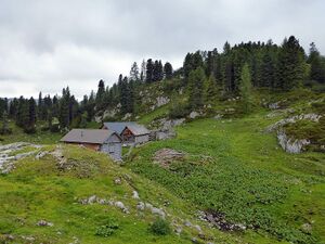 Plankenalm 66778 2014-07-09.JPG