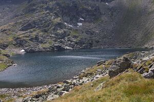 Rauenbergsee 2872 2009-08-19.jpg