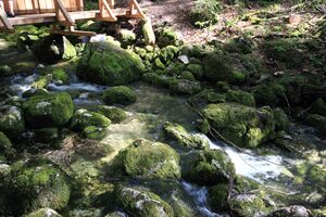 Strummern mühlreith 47196 2017-05-17.jpg