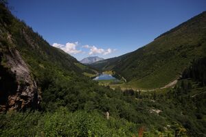 BodenseeIMG 0504.jpg