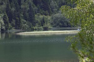 Bodensee seewigtal 63437 2014-06-21.jpg