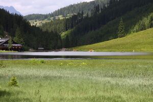 Bodensee seewigtal 63474 2014-06-21.jpg