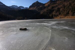 Duisitzkarsee 14387 2011-11-30.jpg