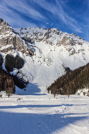 Eiskarlawine ramsau 93685 2019-01-20.jpg