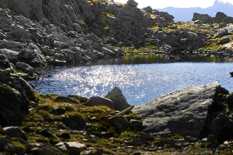 Datei:Goldlacken 0332 2013-10-08.jpg