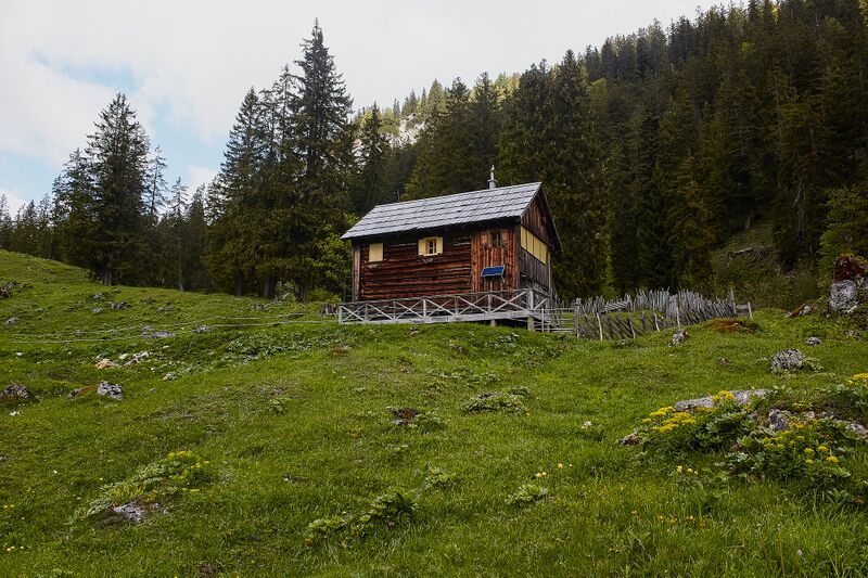 Datei:Hinterberger Teltschenalm-114-2020-05-27.jpg