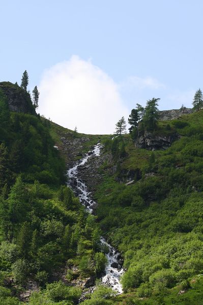 Datei:Im wildkar 23544 2008-06-26.jpg