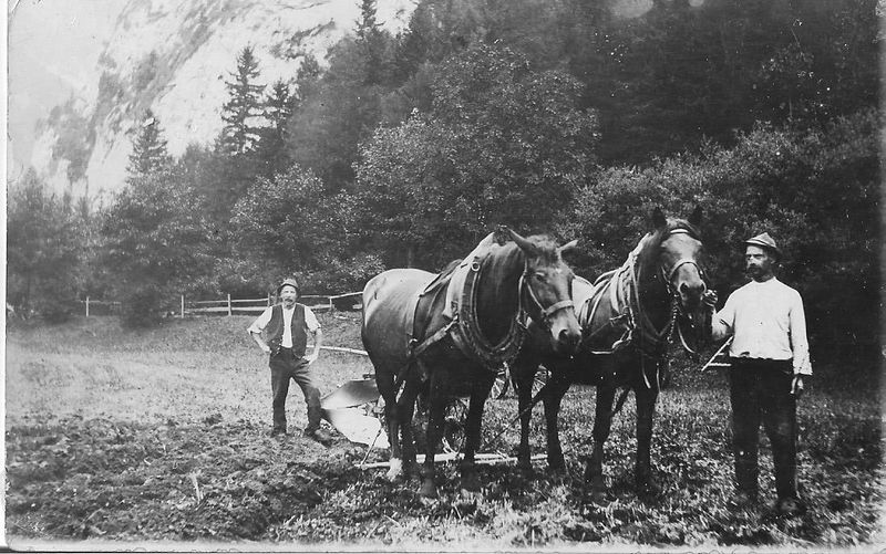 Datei:Josef Zettler um1900.jpg