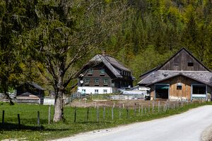 Kochalmbauer 20-05-07 1367.jpg