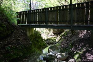 ND 356 Teichenbach Unterkainisch-0241-2025-05-01.jpg